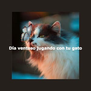 Día ventoso jugando con tu gato - Música Suave para Cafe