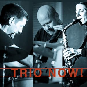 Trio Now! - Tanja Feichtmair
