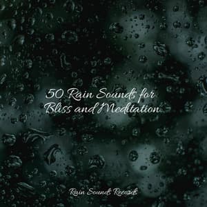 50 Rain Sounds for Bliss and Meditation - Ambiente