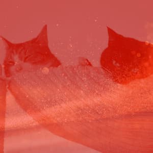 Jazz Trio - Ambiance for Cozy Kittens - Calming Cat Music