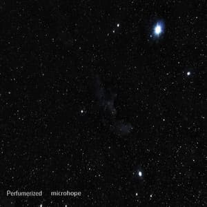 Perfumerized - microhope