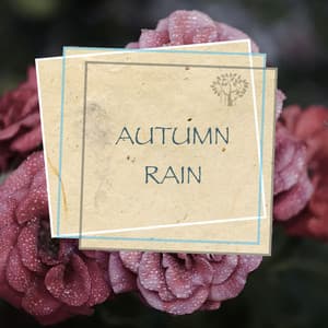 Autumn Rain - Rain Sounds