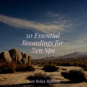 50 Essential Recordings for Zen Spa - Yoga Namaste