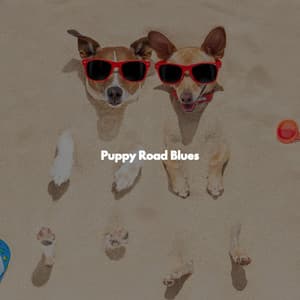 Puppy Road Blues - Jazz Radio