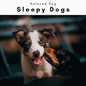 Sleepy Dogs Vol. 1 - Sounds Dogs Love