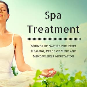 Spa Treatment: Sounds of Nature for Reiki Healing, Peace of Mind and Mindfulness Meditation - Spa Style