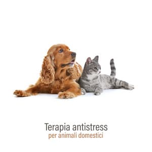 Terapia antistress per animali domestici: Suoni della natura per rilassarsi e calmarsi - Animali Domestici Unità