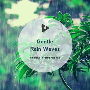 Gentle Rain Waves - Nature Atmospheres