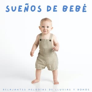 Sueños De Bebé: Relajantes Melodías De Lluvias Y Búhos - Última sinfonía de lluvia
