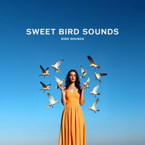 Sweet Bird Sounds - Bird Sounds