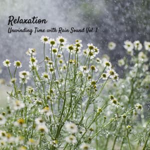 Relaxation: Unwinding Time with Rain Sound Vol. 1 - Dog Relax