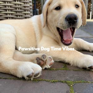 Pawsitive Dog Time Vibes - Dog Chill Out Music