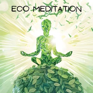 Eco Meditation - Green Noise!