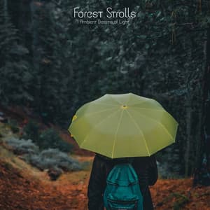 Forest Strolls - Ambient Dreams of Light