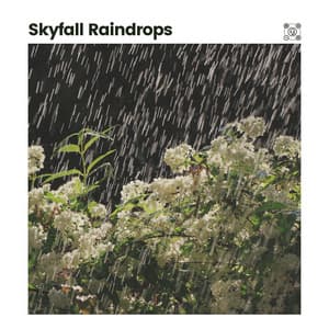 Skyfall Raindrops - Rainfall Place