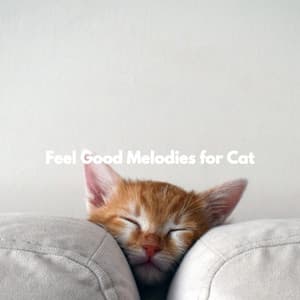 Feel Good Melodies for Cat - Jazz for Work Classics