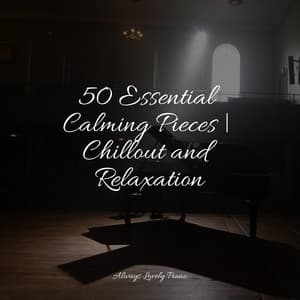 Mindful Living Sounds | Sleep - Piano para Relaxar