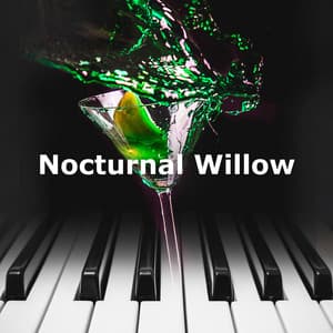 Nocturnal Willow - Cafe Lounge Groove