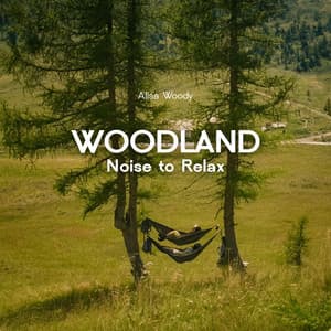 Woodland Noise to Relax - Alisa Woody