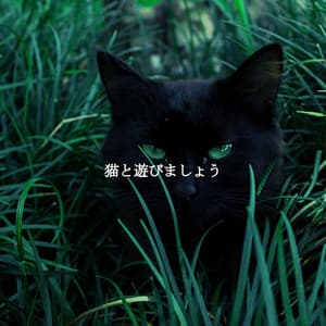 猫と遊びましょう - Jazz Classics for Reading