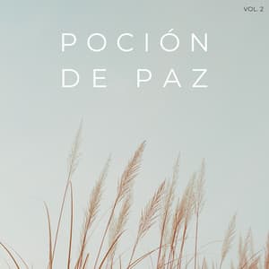 Poción De Paz Vol. 2 - PAZ