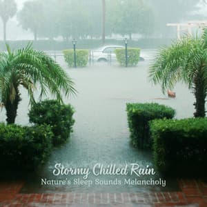 Stormy Chilled Rain: Nature's Sleep Sounds Melancholy - Rain Drops for Sleep