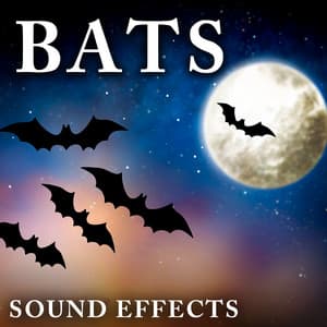 Bats Sound Effects - Sound Ideas