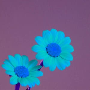 Outstanding Trio Jazz - Background for Supportive Hours - Chill Jazz