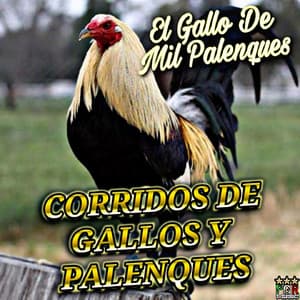 El Gallo De Mil Palenques - CORRIDOS DE GALLOS Y PALENQUES