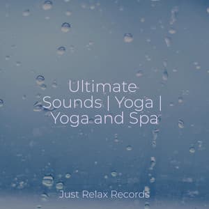 Ultimate Sounds | Yoga | Yoga and Spa - Yoga Namaste