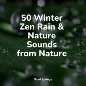 50 Winter Zen Rain & Nature Sounds from Nature - Nature & Sounds Backgrounds
