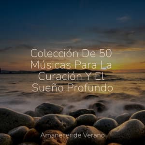 Colección De 50 Músicas Para La Curación Y El Sueño Profundo - Meditation Spa