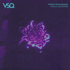 VSQ Performs BLACKPINK - Vitamin String Quartet