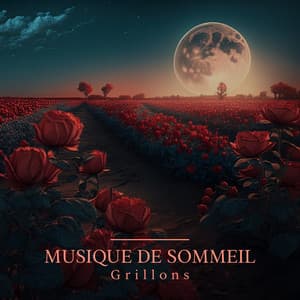 Musique de sommeil pour vous aider à vous détendre toute la nuit - Oasis de Sommeil