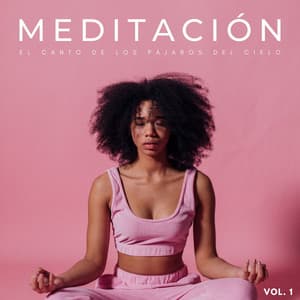 Meditación: El Canto De Los Pájaros Del Cielo Vol. 1 - Muestreo estéreo al aire libre
