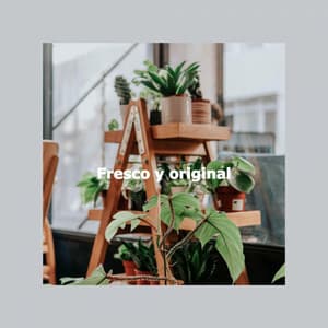 Fresco y original - Cafe Chillout Classics