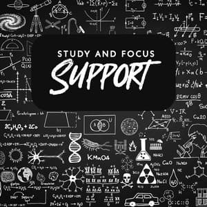 Study and Focus Support: New Age Music to Improve Your Cognitive Brain Functions - Study New Age Counter Display