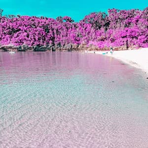 Warm Ambiance for New Moods - Jazz Classics