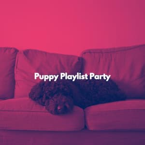 Puppy Playlist Party - Chill Playlist
