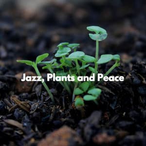 Jazz, Plants and Peace - Jazz para Estudiar