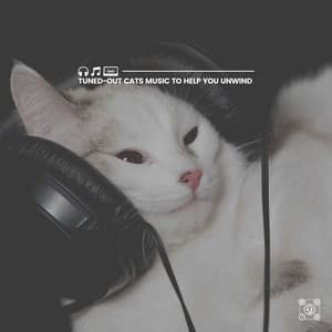Tuned-Out Cats Music to Help You Unwind - Music for Cats Peace