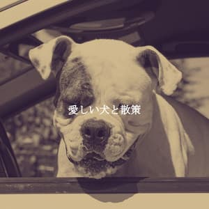 愛しい犬と散策 - Jazz Radio