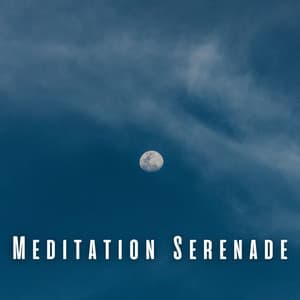 Meditation Serenade: Soothing Rain Sounds for Blissful Sleep - Meditation Playlist
