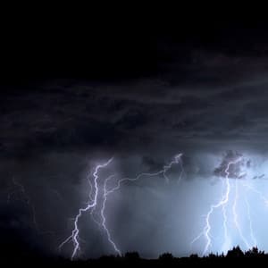 Morning Rain - Foley Music