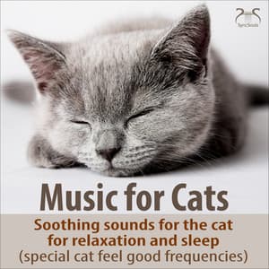 Music for Cats - Soothing Sounds for the Cat for Relaxation and Sleep - Music for Cats TA