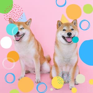 Guitar Chill Out - Background for Behaving Puppies - Dogs at Home