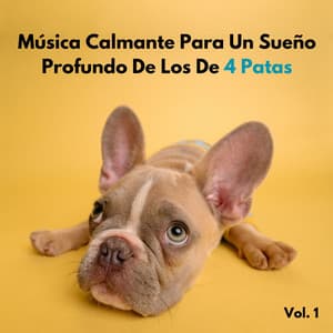 Música Calmante Para Un Sueño Profundo De Los De 4 Patas Vol. 1 - Ayuda para dormir Binaural Beats