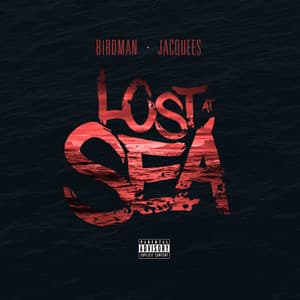 Lost At Sea - Birdman