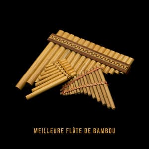 Meilleure flûte de bambou: Musique asiatique pour méditation tibétaine, Moments de paix et détente - Académie de Méditation Spirituelle
