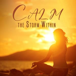 Calm the Storm Within: Anti-Anxiety Meditation - Meditation Ambience